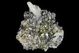Chalcopyrite, Pyrite, Sphalerite and Quartz Association - Peru #141829-1